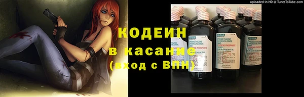 метадон Гусев